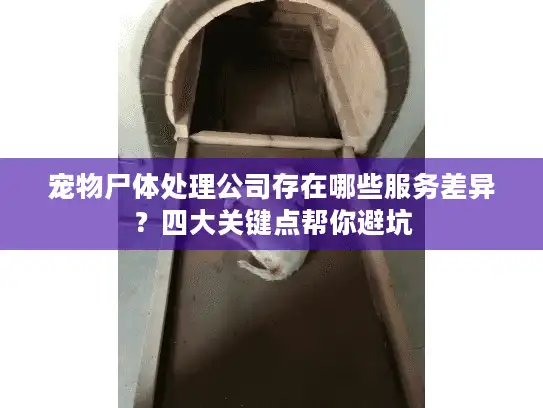 宠物尸体处理公司存在哪些服务差异?四大关键点帮你避坑 宠物尸体处理公司存在哪些服务差异?四大关键点帮你避坑