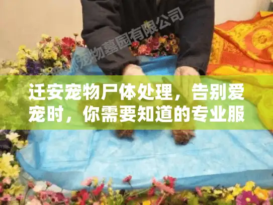 迁安宠物尸体处理,告别爱宠时,你需要知道的专业服务解决方案 迁安宠物尸体处理,告别爱宠时,你需要知道的专业服务解决方案