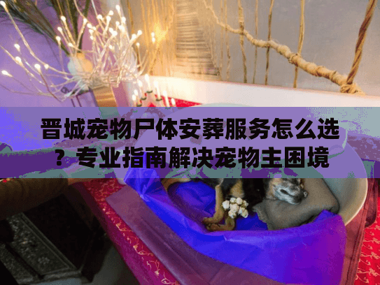 晋城宠物尸体安葬服务怎么选？专业指南解决宠物主困境