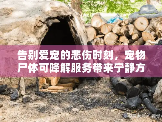 告别爱宠的悲伤时刻,宠物尸体可降解服务带来宁静方案 告别爱宠的悲伤时刻,宠物尸体可降解服务带来宁静方案