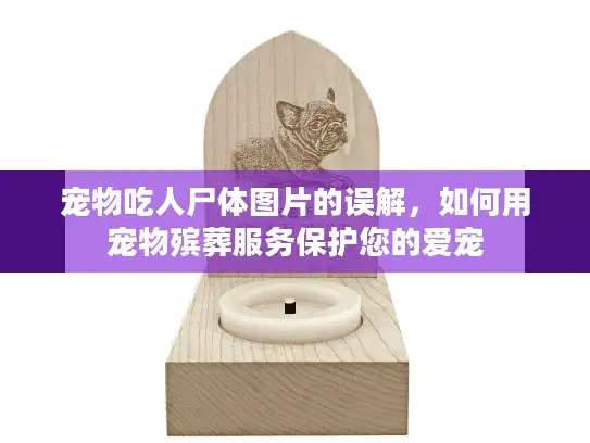 宠物吃人尸体图片的误解，如何用宠物殡葬服务保护您的爱宠