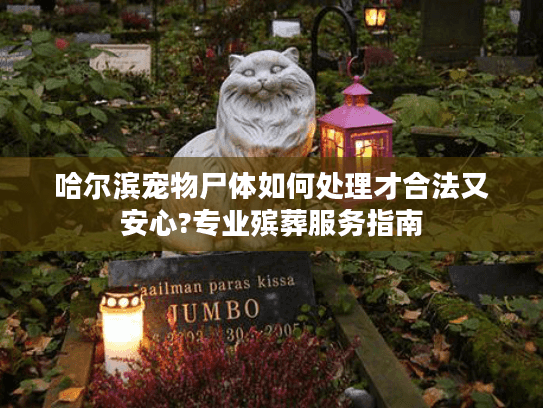 哈尔滨宠物尸体如何处理才合法又安心?专业殡葬服务指南 哈尔滨宠物尸体如何处理才合法又安心?专业殡葬服务指南