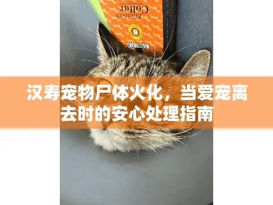 汉寿宠物尸体火化，当爱宠离去时的安心处理指南