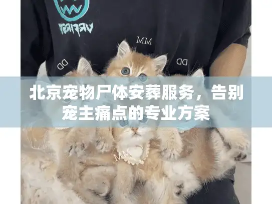北京宠物尸体安葬服务,告别宠主痛点的专业方案 北京宠物尸体安葬服务,告别宠主痛点的专业方案