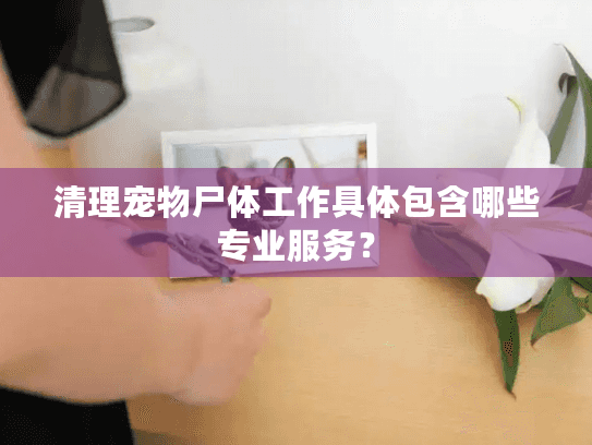 清理宠物尸体工作具体包含哪些专业服务？