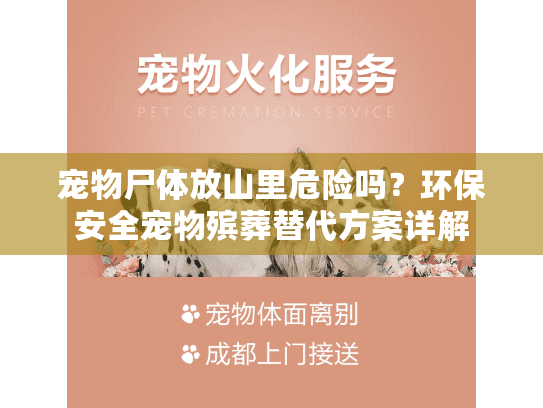宠物尸体放山里危险吗？环保安全宠物殡葬替代方案详解