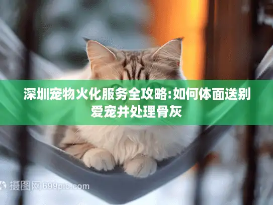 深圳宠物火化服务全攻略:如何体面送别爱宠并处理骨灰