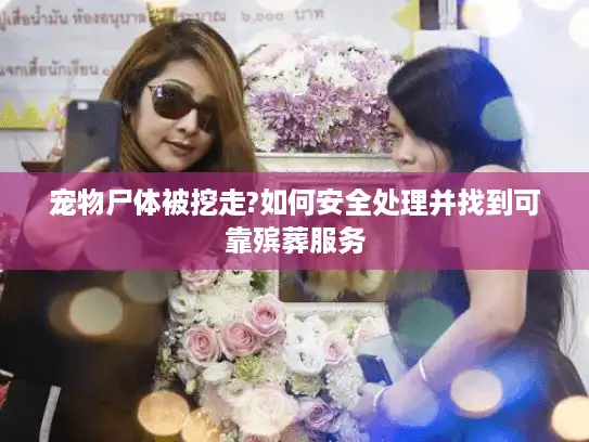 宠物尸体被挖走?如何安全处理并找到可靠殡葬服务 宠物尸体被挖走?如何安全处理并找到可靠殡葬服务