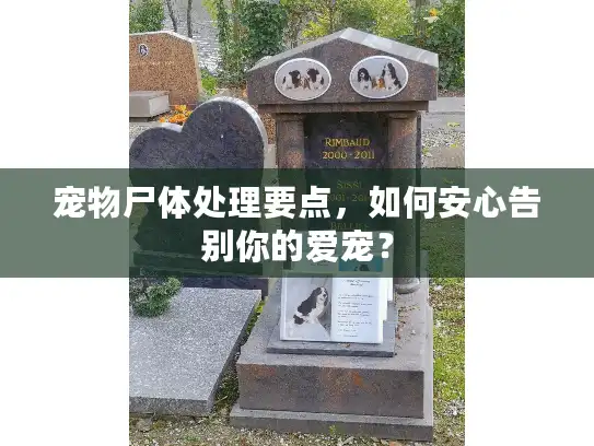 宠物尸体处理要点,如何安心告别你的爱宠? 宠物尸体处理要点,如何安心告别你的爱宠?