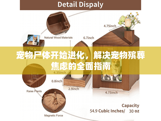 宠物尸体开始进化,解决宠物殡葬焦虑的全面指南 宠物尸体开始进化,解决宠物殡葬焦虑的全面指南