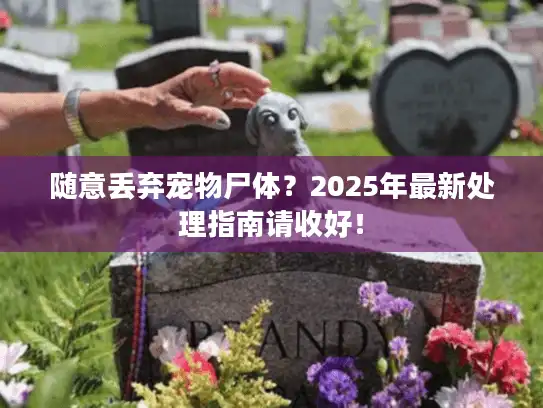 随意丢弃宠物尸体?2025年最新处理指南请收好! 随意丢弃宠物尸体?2025年最新处理指南请收好!