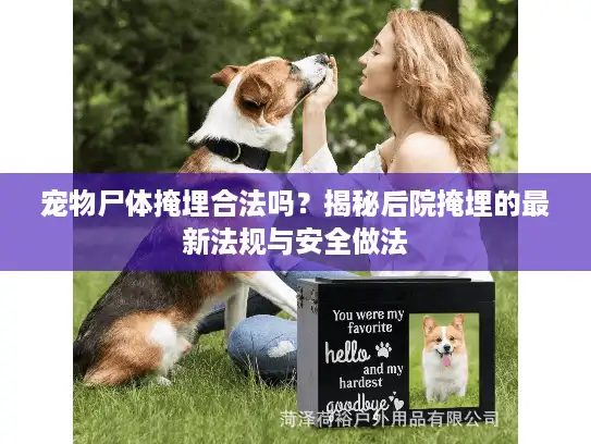 宠物尸体掩埋合法吗？揭秘后院掩埋的最新法规与安全做法