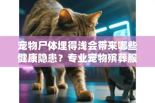 宠物尸体埋得浅会带来哪些健康隐患？专业宠物殡葬服务指南