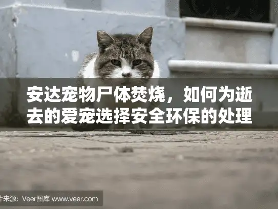 安达宠物尸体焚烧，如何为逝去的爱宠选择安全环保的处理方式？