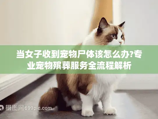 当女子收到宠物尸体该怎么办?专业宠物殡葬服务全流程解析