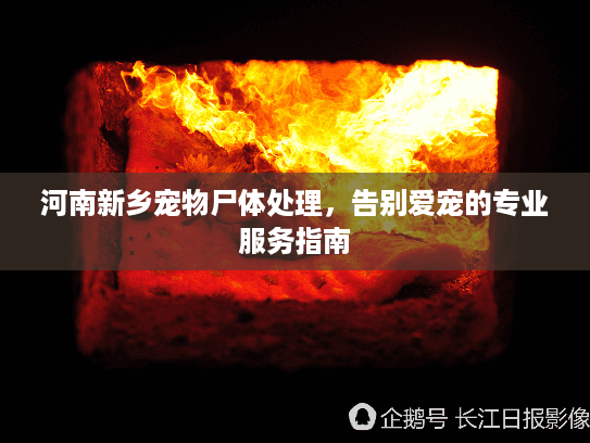 河南新乡宠物尸体处理,告别爱宠的专业服务指南 河南新乡宠物尸体处理,告别爱宠的专业服务指南