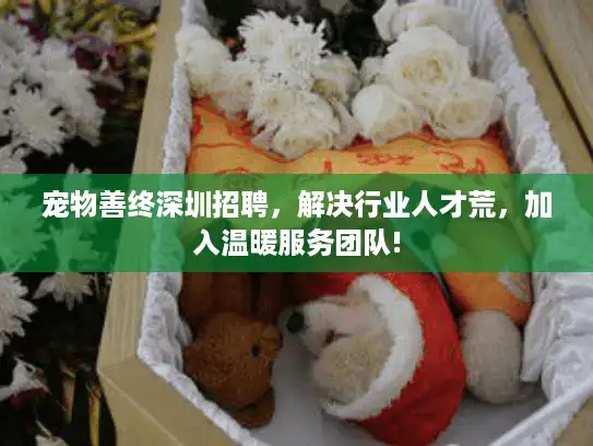 宠物善终深圳招聘,解决行业人才荒,加入温暖服务团队! 宠物善终深圳招聘,解决行业人才荒,加入温暖服务团队!