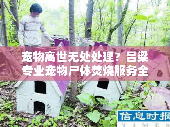 宠物离世无处处理？吕梁专业宠物尸体焚烧服务全解（含价目表）