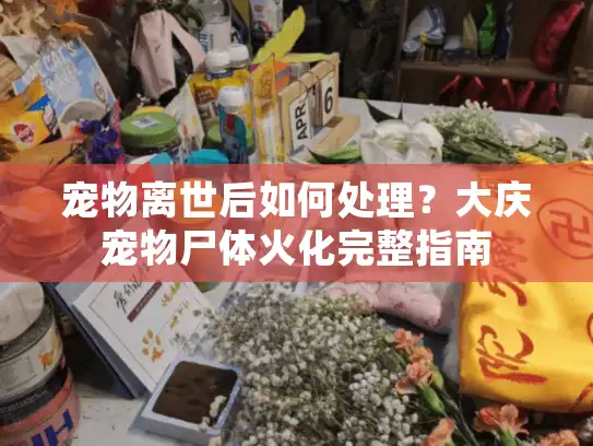 宠物离世后如何处理？大庆宠物尸体火化完整指南
