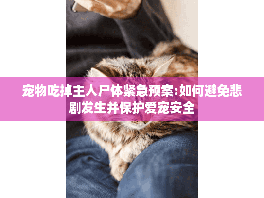 宠物吃掉主人尸体紧急预案:如何避免悲剧发生并保护爱宠安全