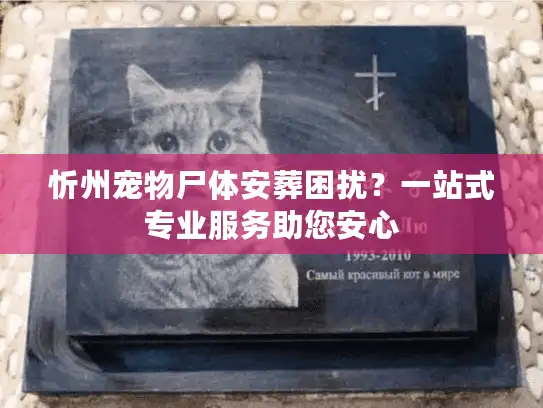 忻州宠物尸体安葬困扰?一站式专业服务助您安心 忻州宠物尸体安葬困扰?一站式专业服务助您安心