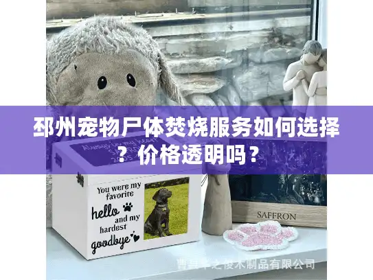 邳州宠物尸体焚烧服务如何选择？价格透明吗？