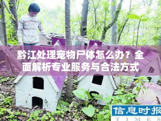 黔江处理宠物尸体怎么办？全面解析专业服务与合法方式