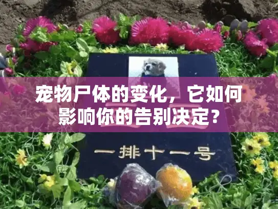 宠物尸体的变化，它如何影响你的告别决定？