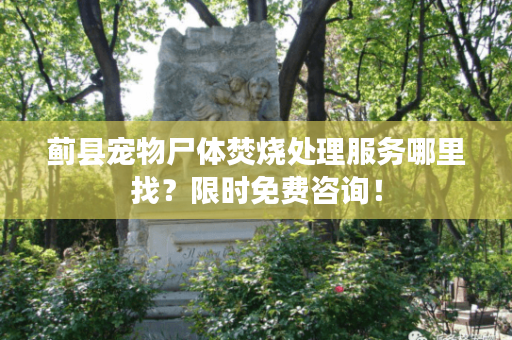 蓟县宠物尸体焚烧处理服务哪里找？限时免费咨询！