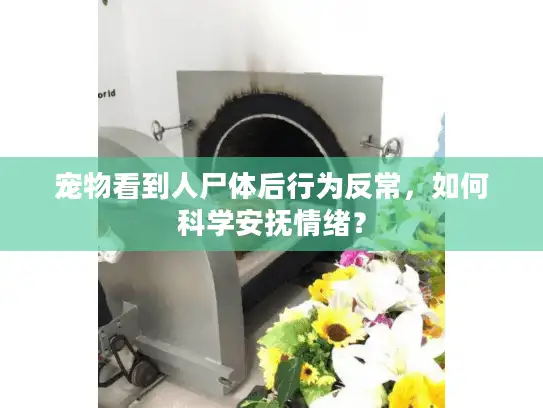 宠物看到人尸体后行为反常，如何科学安抚情绪？