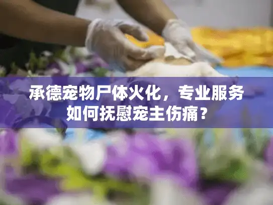 承德宠物尸体火化，专业服务如何抚慰宠主伤痛？