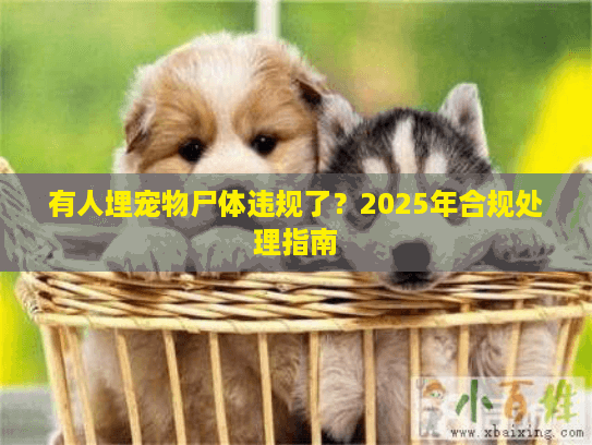 有人埋宠物尸体违规了？2025年合规处理指南