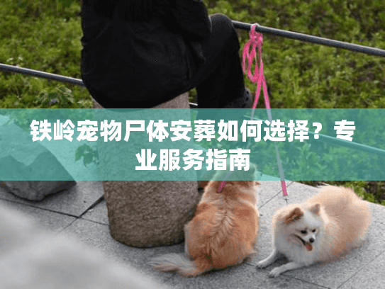 铁岭宠物尸体安葬如何选择?专业服务指南 铁岭宠物尸体安葬如何选择?专业服务指南