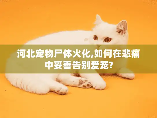 河北宠物尸体火化,如何在悲痛中妥善告别爱宠? 河北宠物尸体火化,如何在悲痛中妥善告别爱宠?