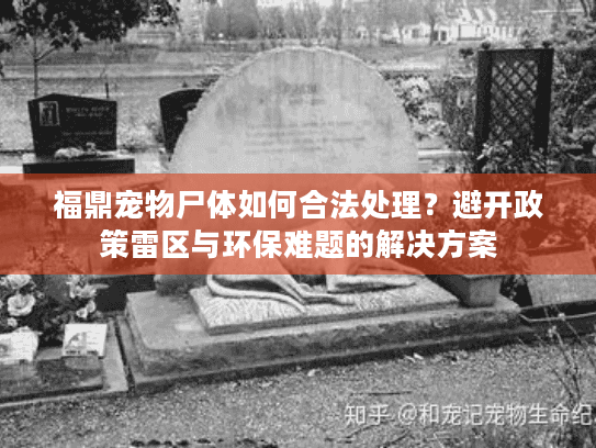 福鼎宠物尸体如何合法处理？避开政策雷区与环保难题的解决方案