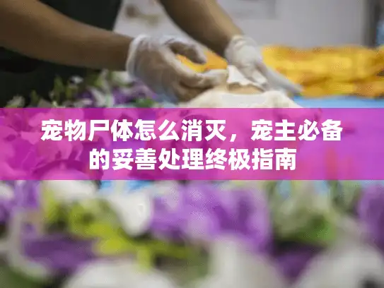 宠物尸体怎么消灭，宠主必备的妥善处理终极指南