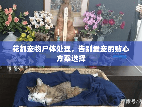 花都宠物尸体处理,告别爱宠的贴心方案选择 花都宠物尸体处理,告别爱宠的贴心方案选择