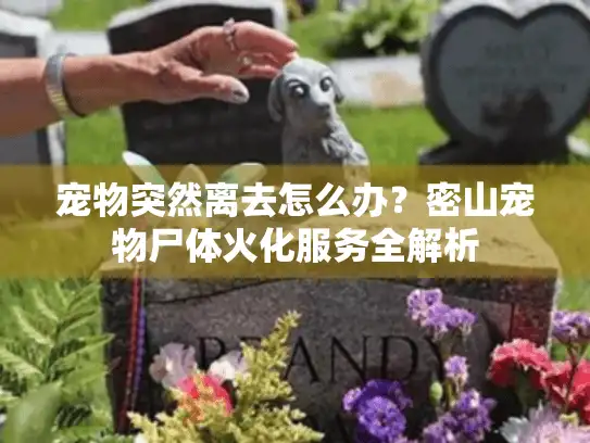 宠物突然离去怎么办?密山宠物尸体火化服务全解析 宠物突然离去怎么办?密山宠物尸体火化服务全解析