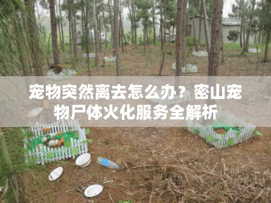 宠物突然离去怎么办?密山宠物尸体火化服务全解析 宠物突然离去怎么办?密山宠物尸体火化服务全解析