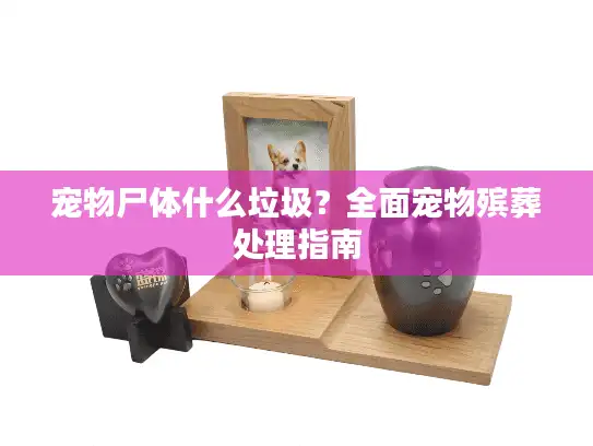 宠物尸体什么垃圾?全面宠物殡葬处理指南 宠物尸体什么垃圾?全面宠物殡葬处理指南