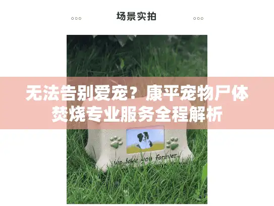 无法告别爱宠？康平宠物尸体焚烧专业服务全程解析