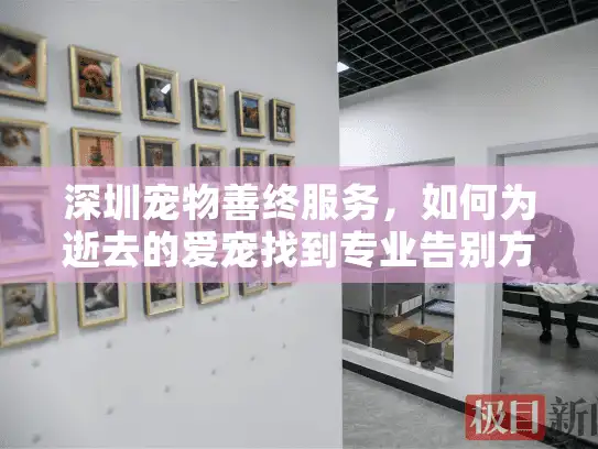 深圳宠物善终服务,如何为逝去的爱宠找到专业告别方案? 深圳宠物善终服务,如何为逝去的爱宠找到专业告别方案?