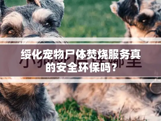 绥化宠物尸体焚烧服务真的安全环保吗？