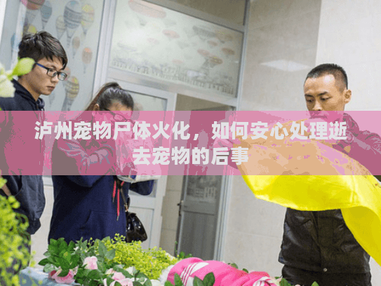 泸州宠物尸体火化，如何安心处理逝去宠物的后事