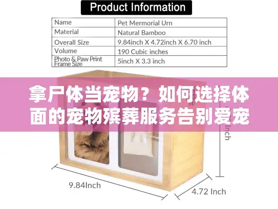拿尸体当宠物?如何选择体面的宠物殡葬服务告别爱宠 拿尸体当宠物?如何选择体面的宠物殡葬服务告别爱宠