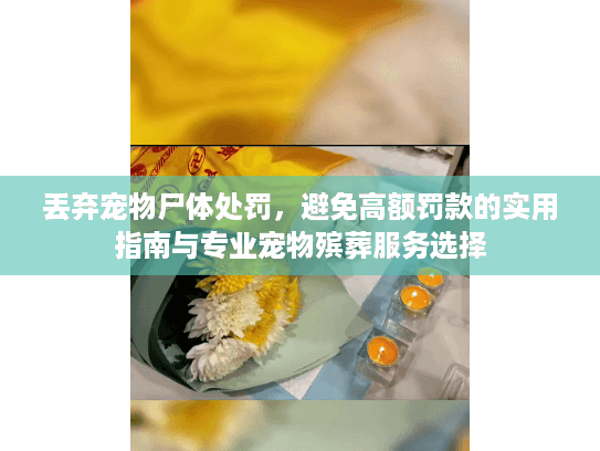 丢弃宠物尸体处罚，避免高额罚款的实用指南与专业宠物殡葬服务选择