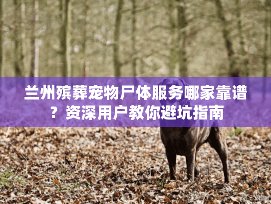 兰州殡葬宠物尸体服务哪家靠谱?资深用户教你避坑指南 兰州殡葬宠物尸体服务哪家靠谱?资深用户教你避坑指南