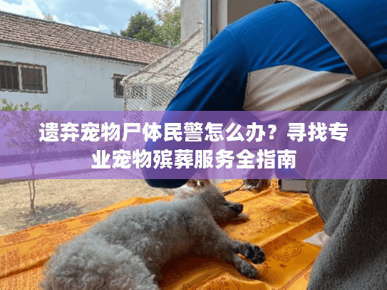 遗弃宠物尸体民警怎么办?寻找专业宠物殡葬服务全指南 遗弃宠物尸体民警怎么办?寻找专业宠物殡葬服务全指南