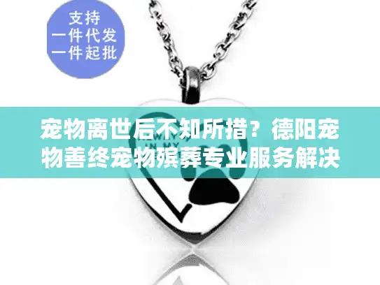 宠物离世后不知所措？德阳宠物善终宠物殡葬专业服务解决之道