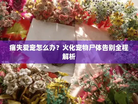 痛失爱宠怎么办?火化宠物尸体告别全程解析 痛失爱宠怎么办?火化宠物尸体告别全程解析